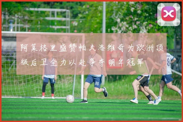 阿莱格里盛赞帕夫洛维奇为欧洲顶级后卫全力以赴争夺明年冠军